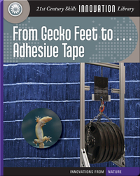 From Gecko Feet to Adhesive Tape