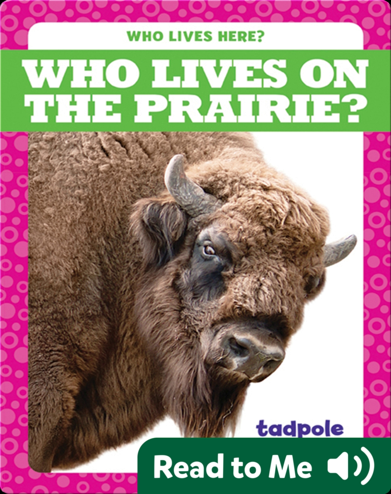 who-lives-on-the-prairie-book-by-jenny-fretland-vanvoorst-epic