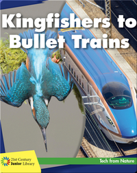 Kingfishers to Bullet Trains