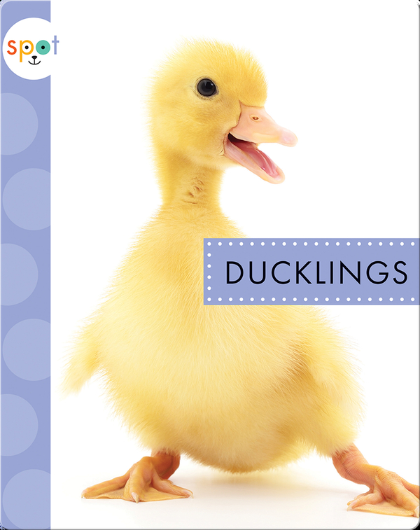 Baby Farm Animals: Ducklings