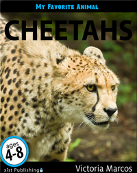 My Favorite Animal: Cheetahs