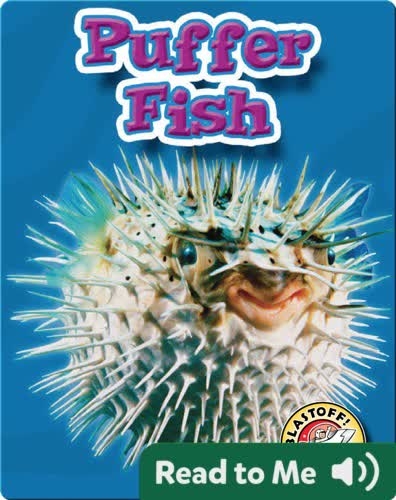 Puffer Fish: Oceans Alive