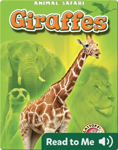 Giraffes: Animal Safari