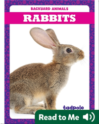 Backyard Animals: Rabbits