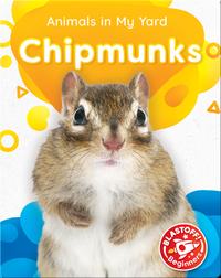 Animals in My Yard: Chipmunks