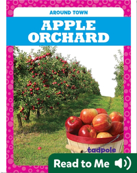 Around Town: Apple Orchard