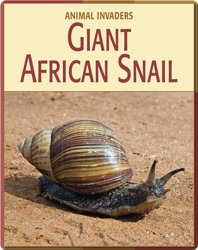 Animal Invaders: Giant African Snail