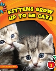 Kittens Grow Up To Be Cats