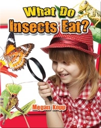 What Do Insects Eat?