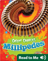 Creepy Crawlies: Millipedes