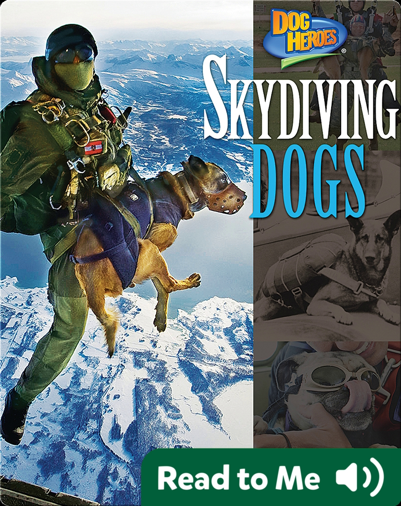 military working dogs skydiving