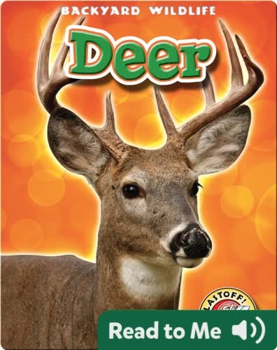 Deer: Backyard Wildlife