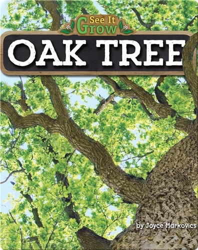 Oak Tree (See It Grow)