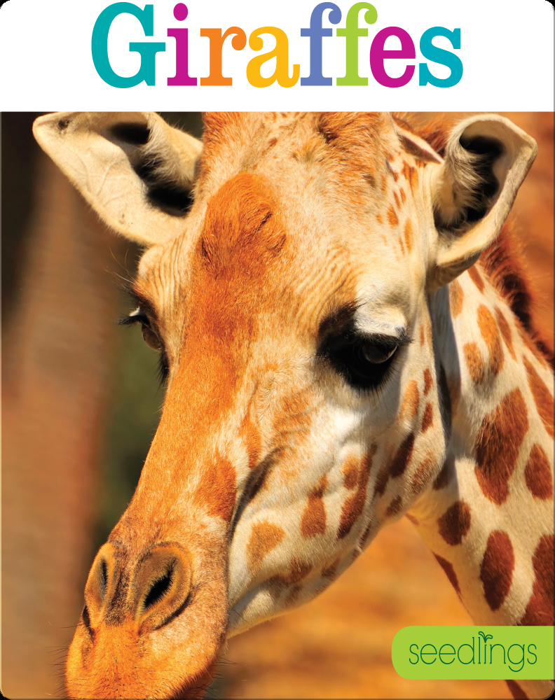 Giraffes Book by Kate Riggs | Epic