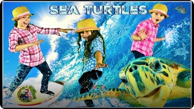 Sea Turtle Adventure! All About Sea Turtles!