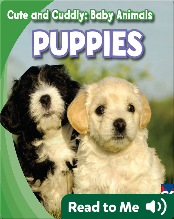 Cute and Cuddly: Puppies Children's Book by Grace Elora | Discover ...