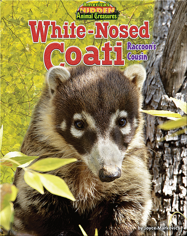 White-Nosed Coati: Raccoon's Cousin