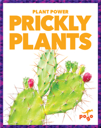 Prickly Plants