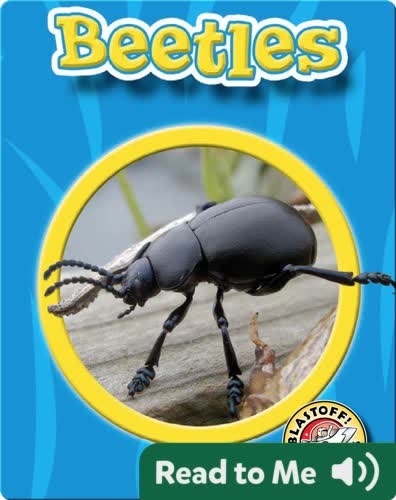 World of Insects: Beetles
