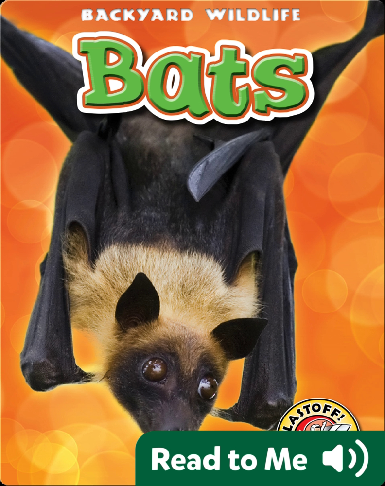 Bats Backyard Wildlife Book by Kari Schuetz Epic