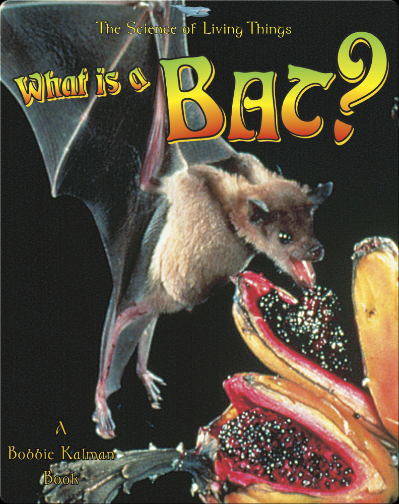 What is a Bat? Children's Book by Bobbie Kalman, Heather Levigne