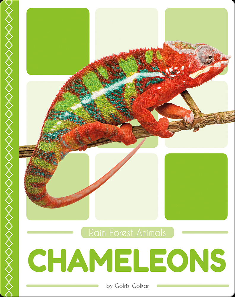 Rain Forest Animals: Chameleons Book by Golriz Golkar | Epic