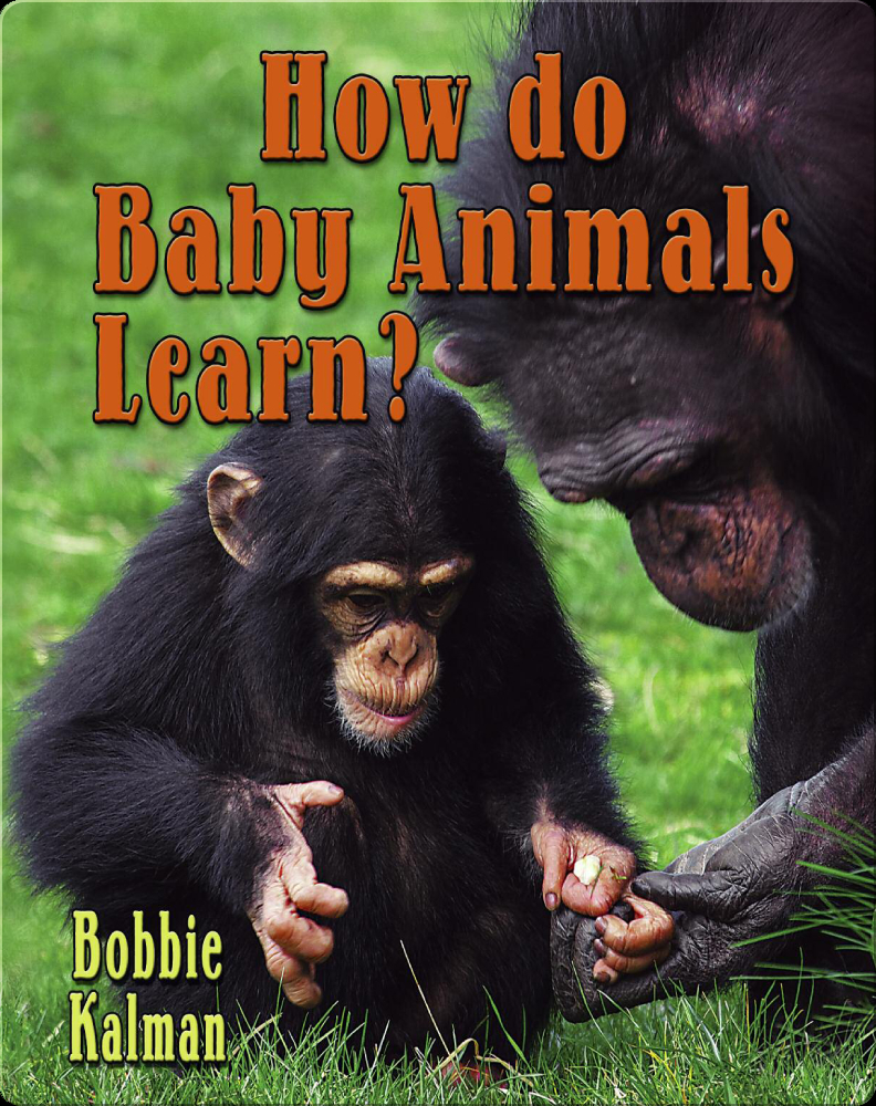 How Do Baby Animals Learn? Book by Bobbie Kalman | Epic