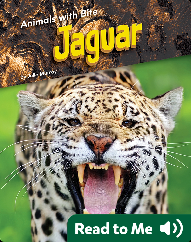 Animals with Bite: Jaguar Book by Julie Murray | Epic