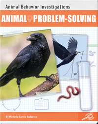 Animal Behavior Investigations: Animal Problem-Solving