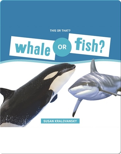 Whale or Fish?