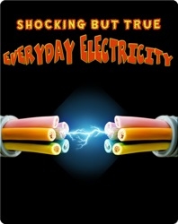 Shocking But True Everyday Electricity