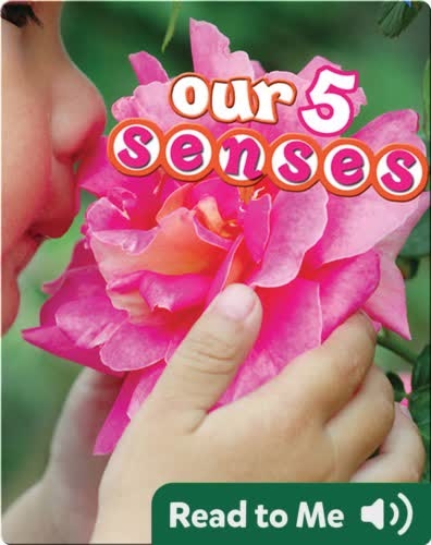 Our 5 Senses