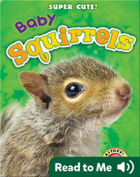Super Cute! Baby Squirrels