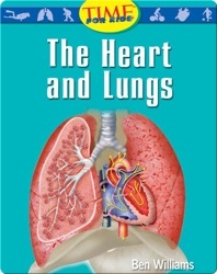 The Heart and Lungs