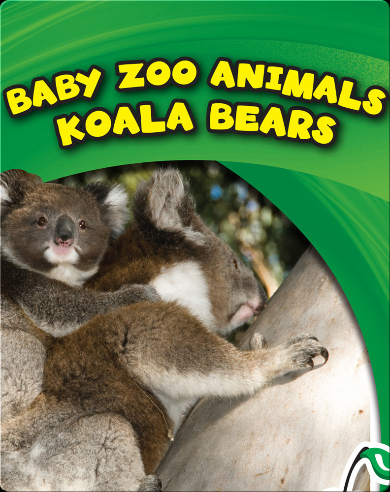 Baby Zoo Animals: Koala Bears Book by Katie Marsico | Epic