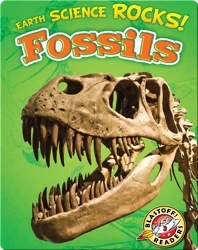 Earth Science Rocks! Fossils