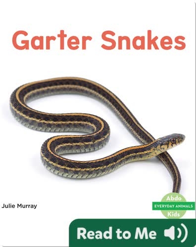 Garter Snakes