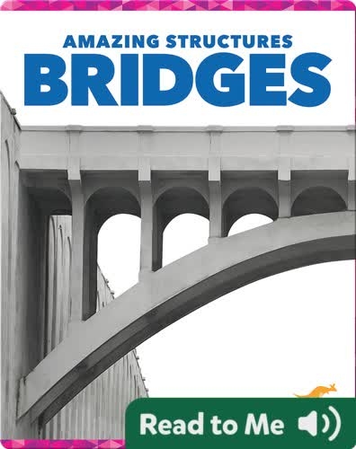 Amazing Structures: Bridges