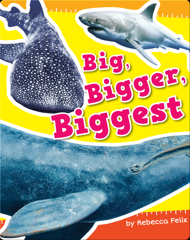 Big, Bigger, Biggest Book by Rebecca Felix Epic