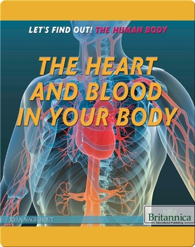 The Heart and Blood in Your Body