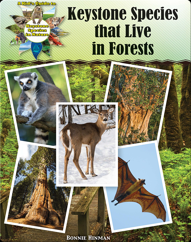 Keystone Species that Live in Forests Book by Bonnie Hinman | Epic