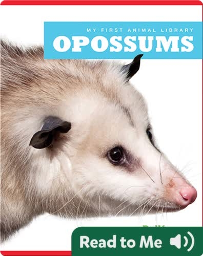 My First Animal Library: Opossums