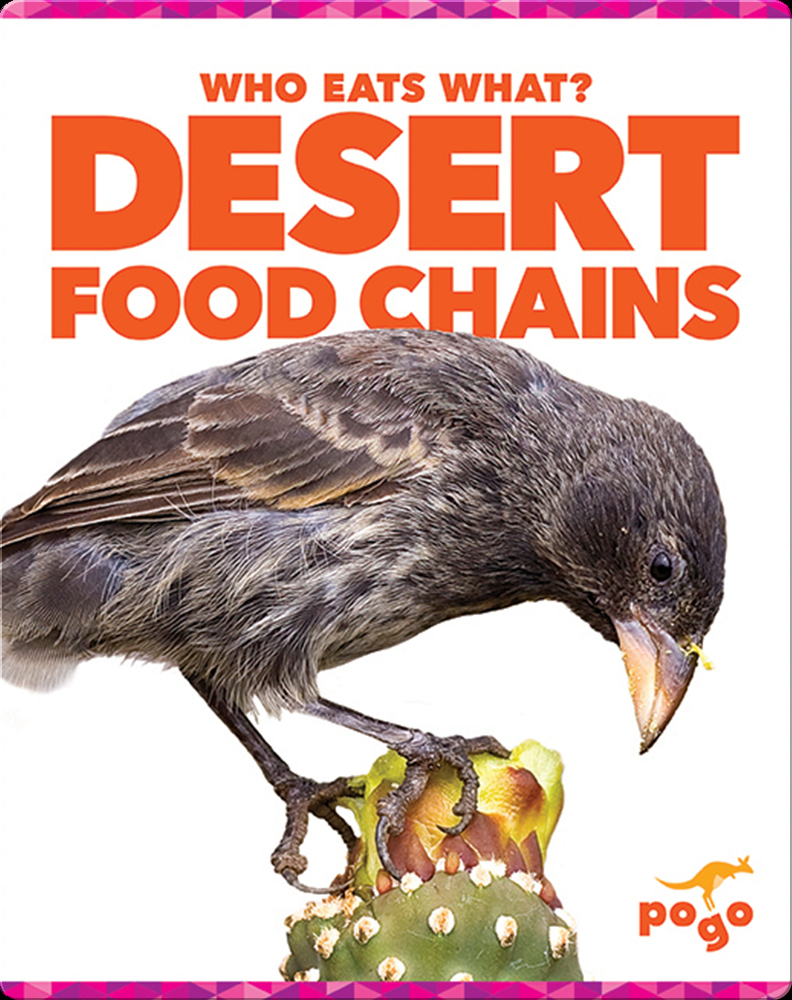 desert food chains