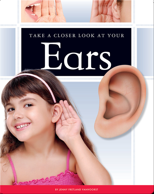 Take a Closer Look at Your Ears