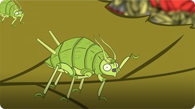 I'm an Aphid