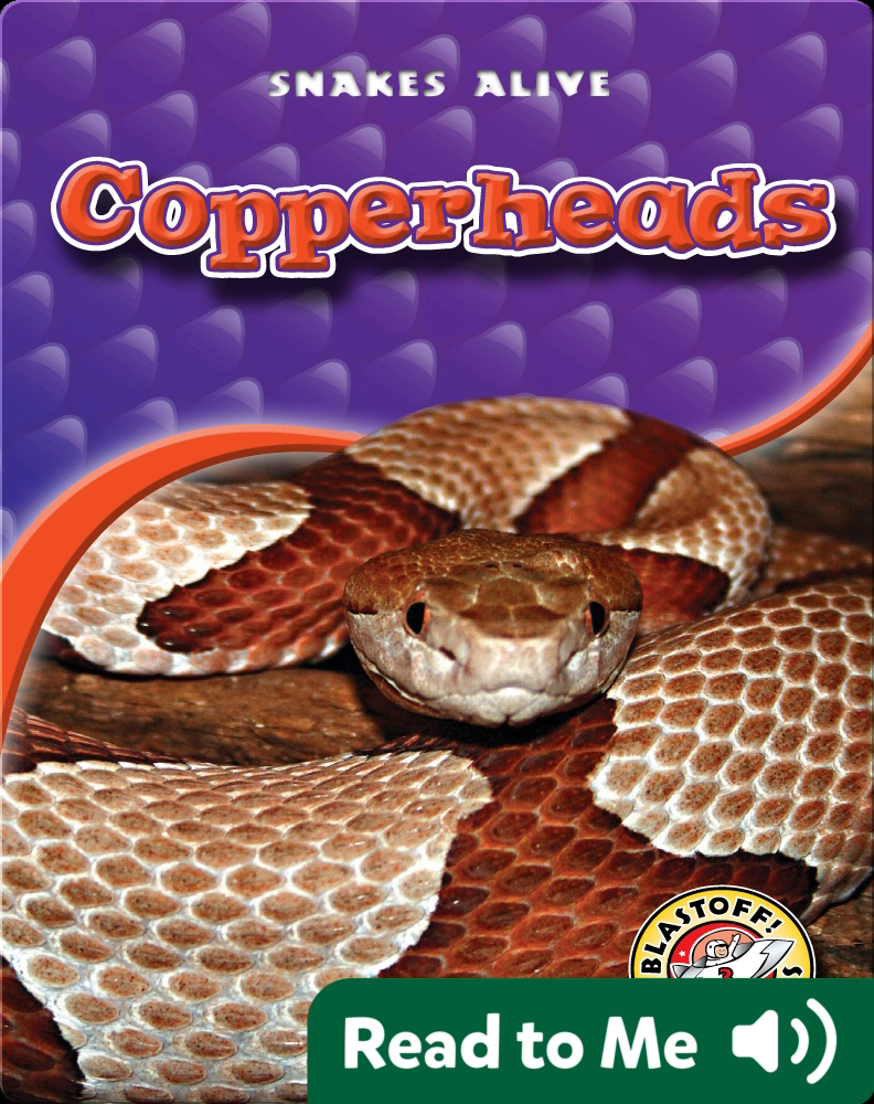 Copperheads Book by Colleen Sexton Epic