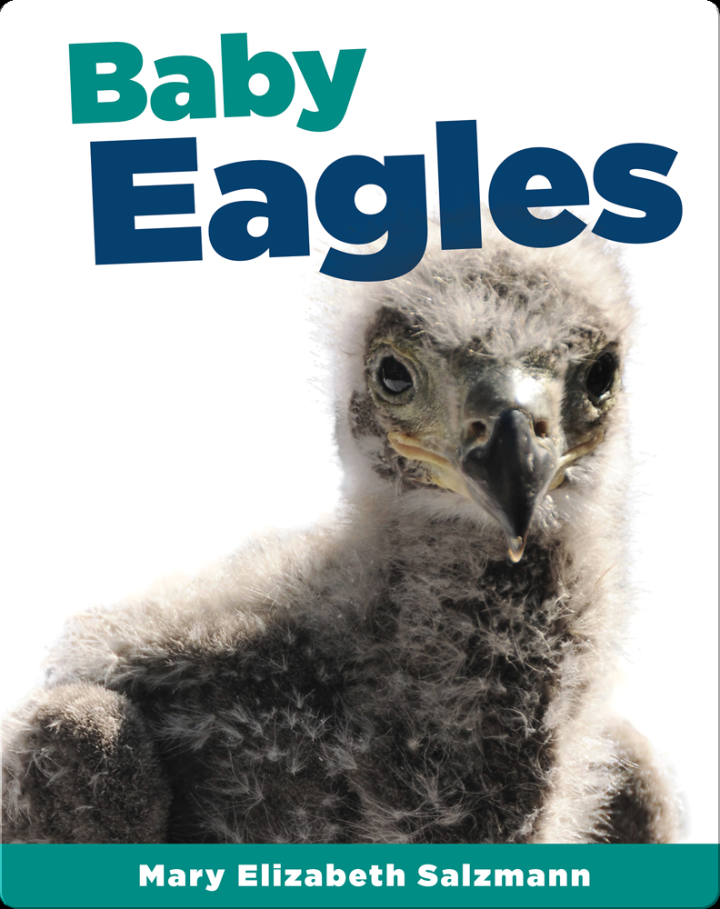 Baby Eagles Book by Mark Elizabeth Salzmann | Epic