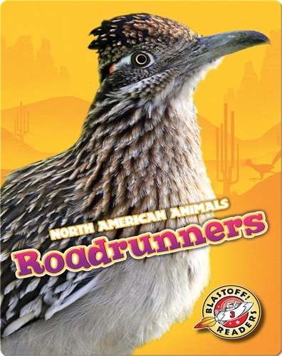 North American Animals: Roadrunners