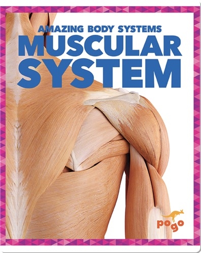 Amazing Body Systems: Muscular System