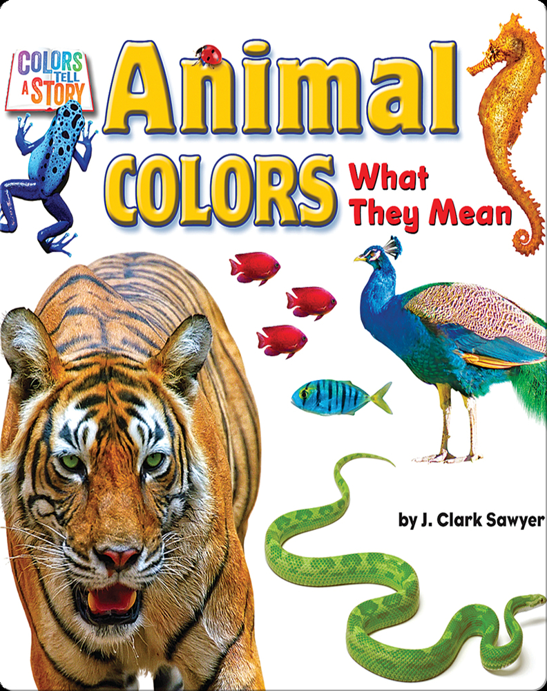 Animal Colors Book by J. Clark Sawyer | Epic